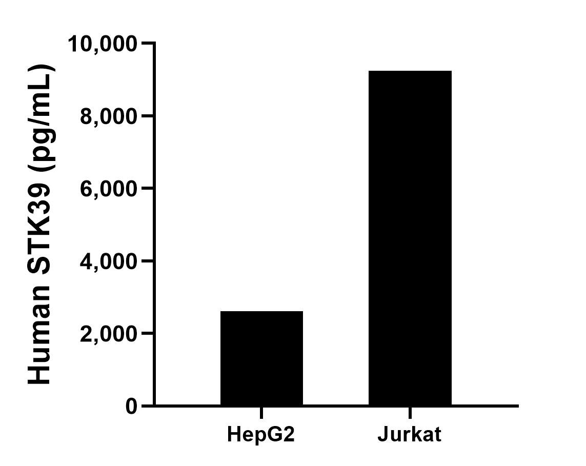 Sample test of MP00106-3